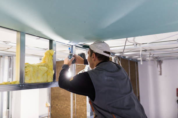 Best Energy-efficient Insulation  in Windsor, CO