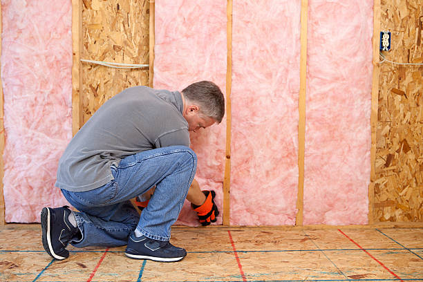 Best Commercial Insulation Contractor  in Windsor, CO