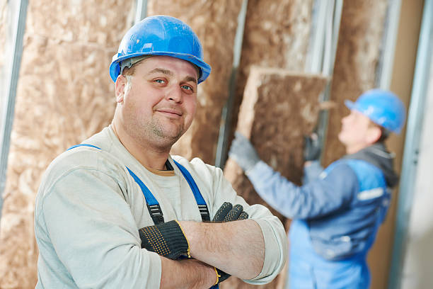 Best Attic Insulation Installation  in Windsor, CO